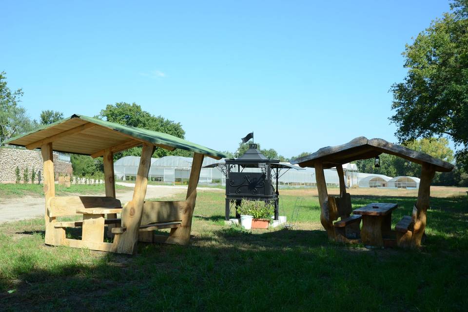 Prato e barbecue