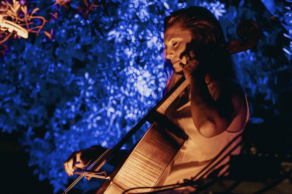Violoncello classico