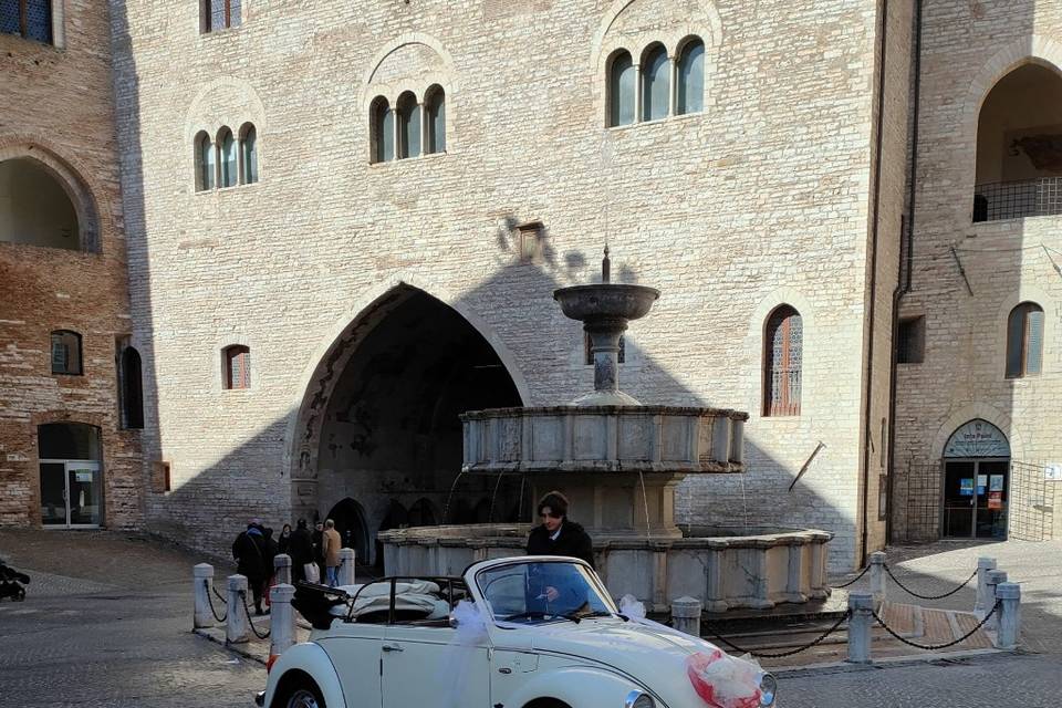 Maggiolone Cabrio Bianco