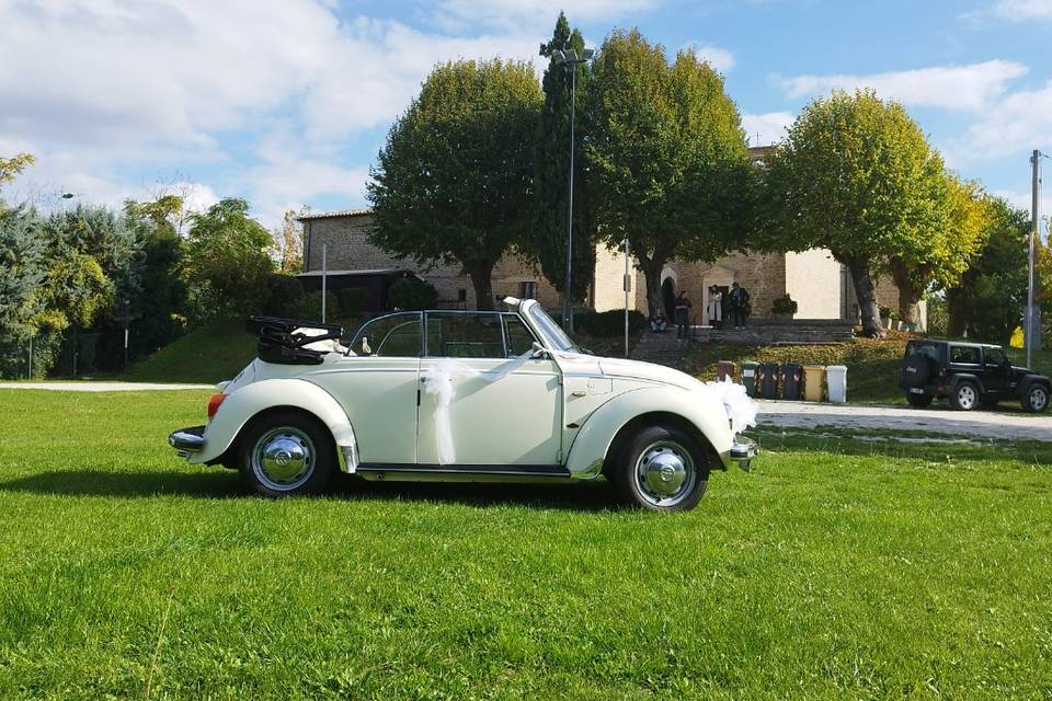 Maggiolone Cabrio Bianco