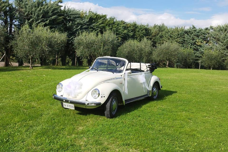 Maggiolino Cabrio Bianco