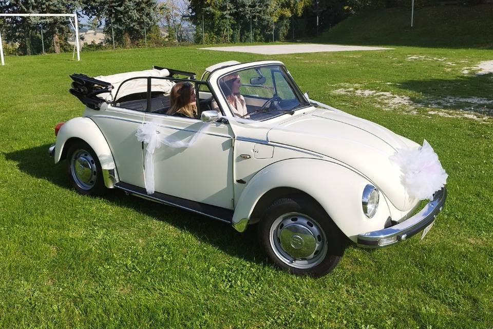 Maggiolino Cabrio Bianco