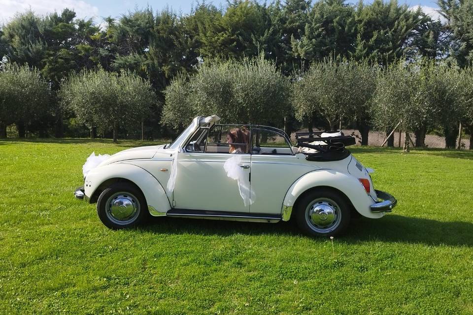 Maggiolino Cabrio Bianco