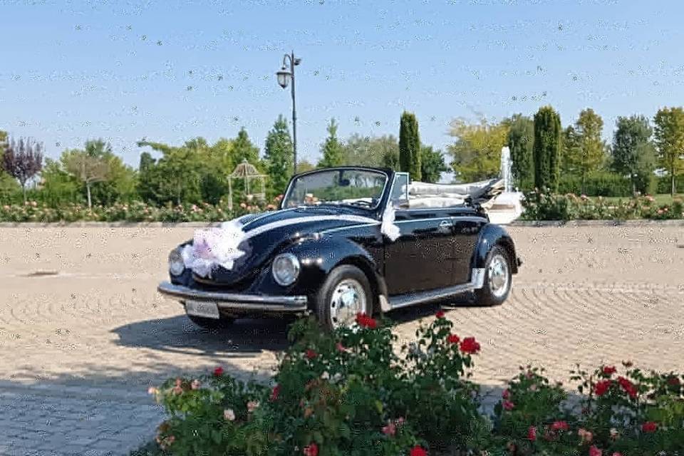 Maggiolino Cabrio nero