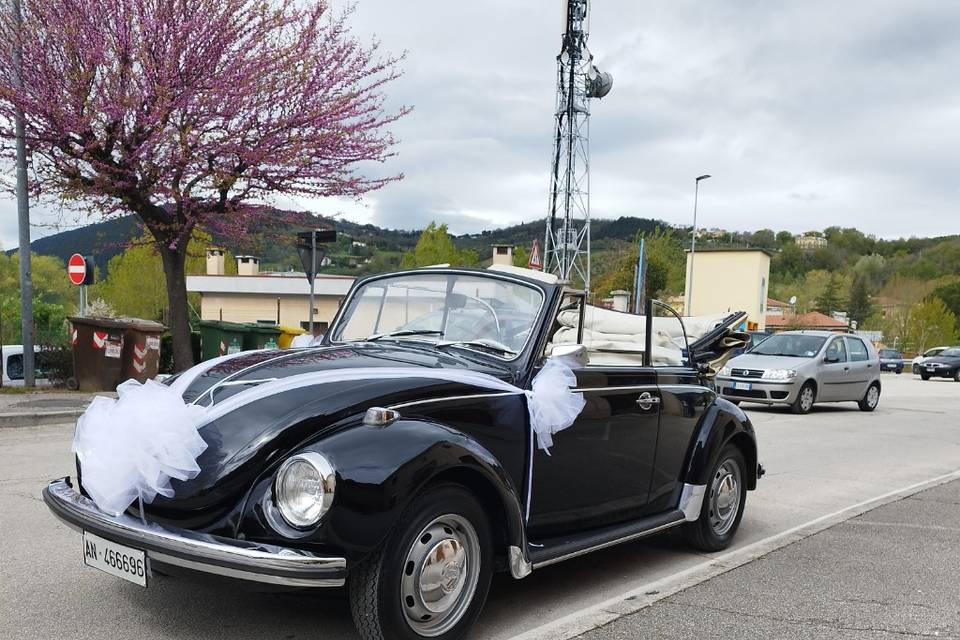 Maggiolino Cabrio nero