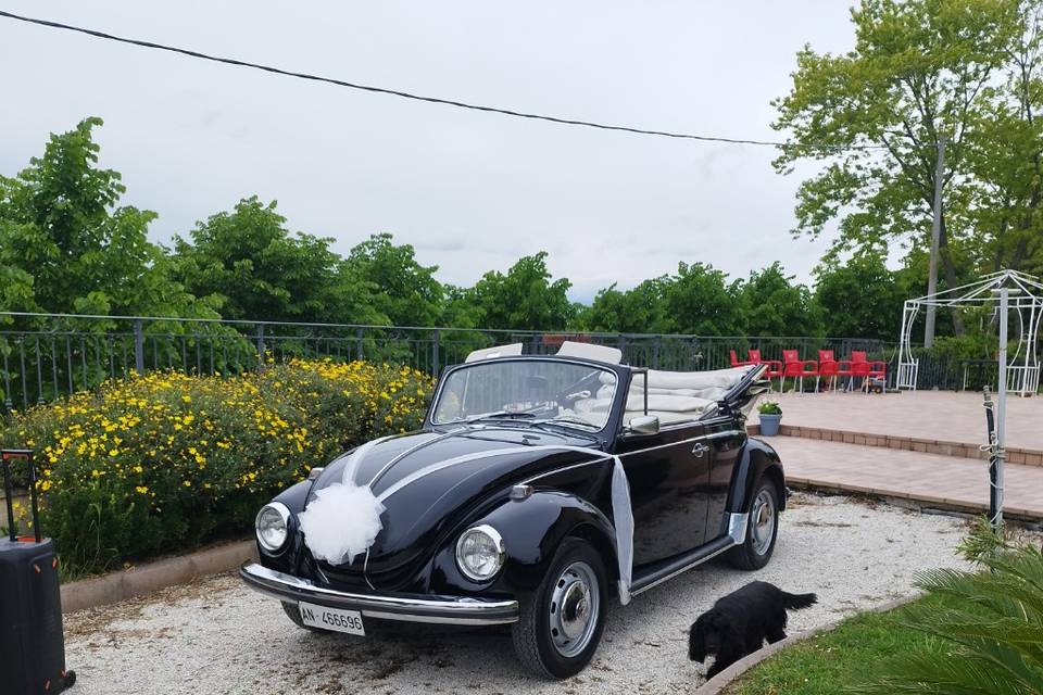 Maggiolino Cabrio nero