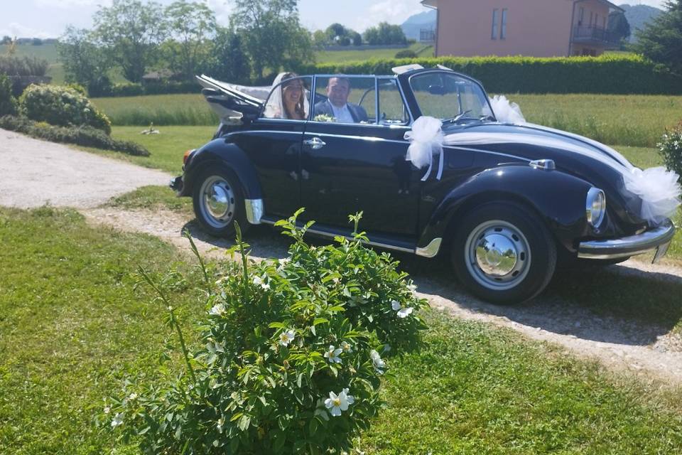 Maggiolino Cabrio nero