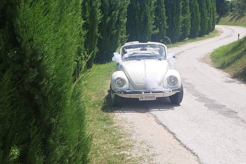 Maggiolino Cabrio Bianco