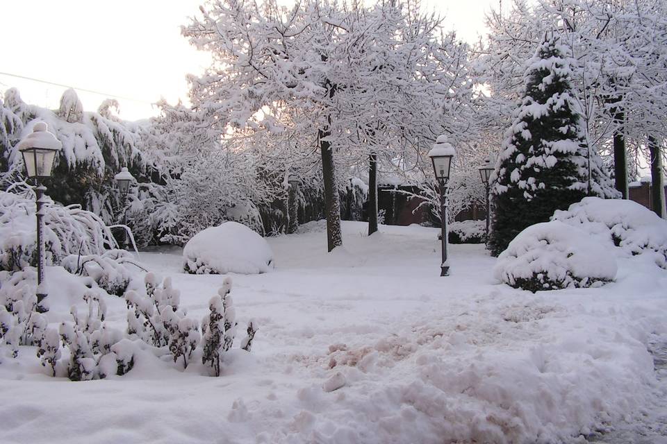 Parco sotto la neve