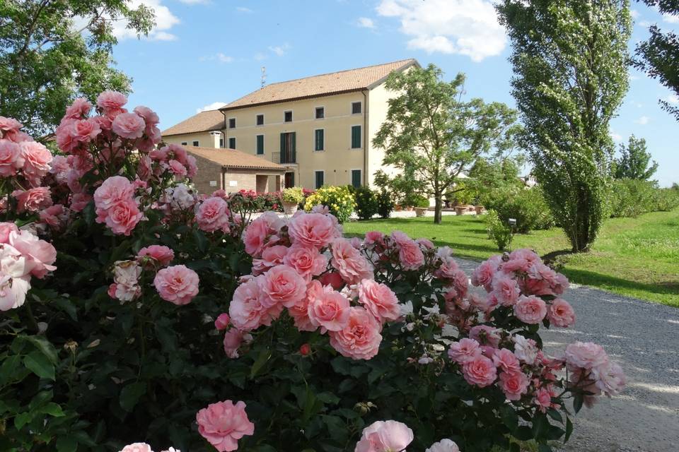 Agriturismo Millefiori Corte delle Rose