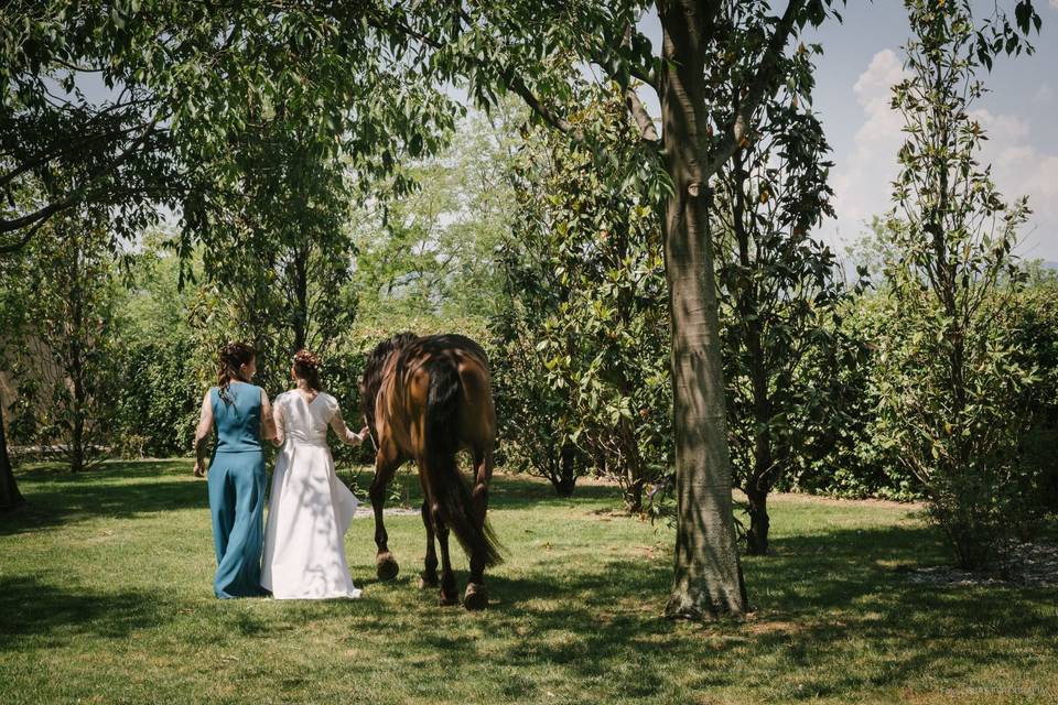 Shooting con cavallo