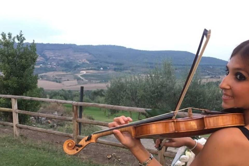 Violin