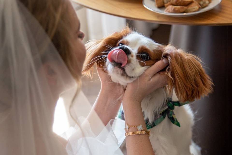 Sposa con cucciolo