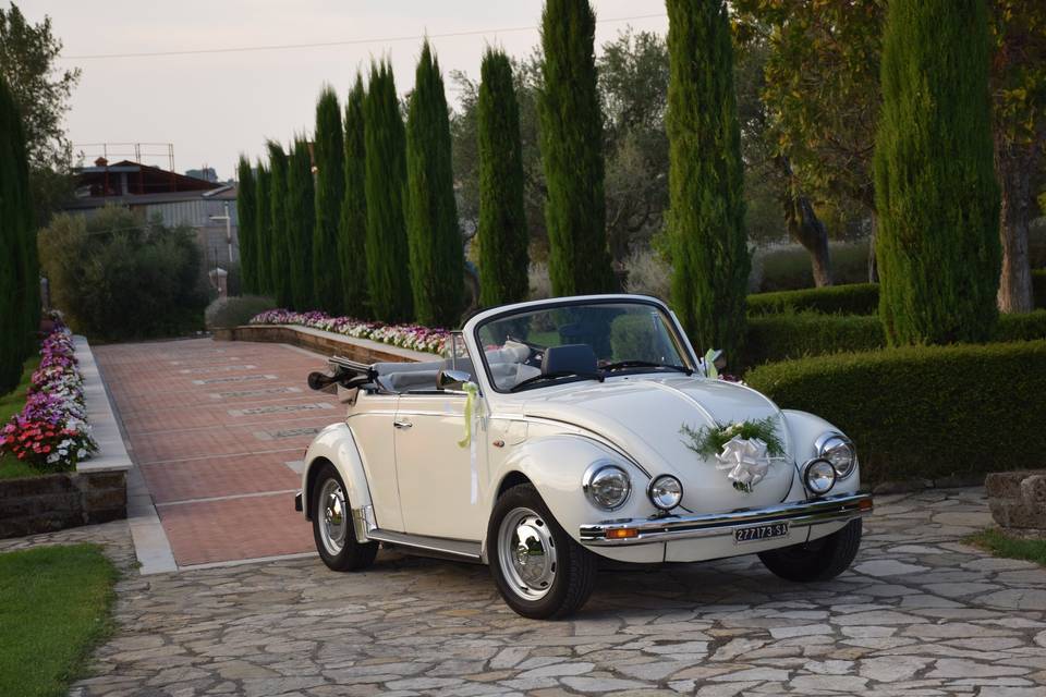 VW Maggiolone Cabrio