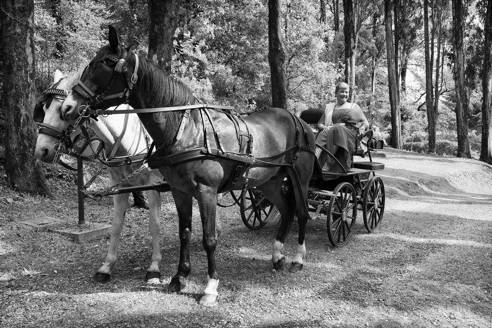 La Sposa in carrozza