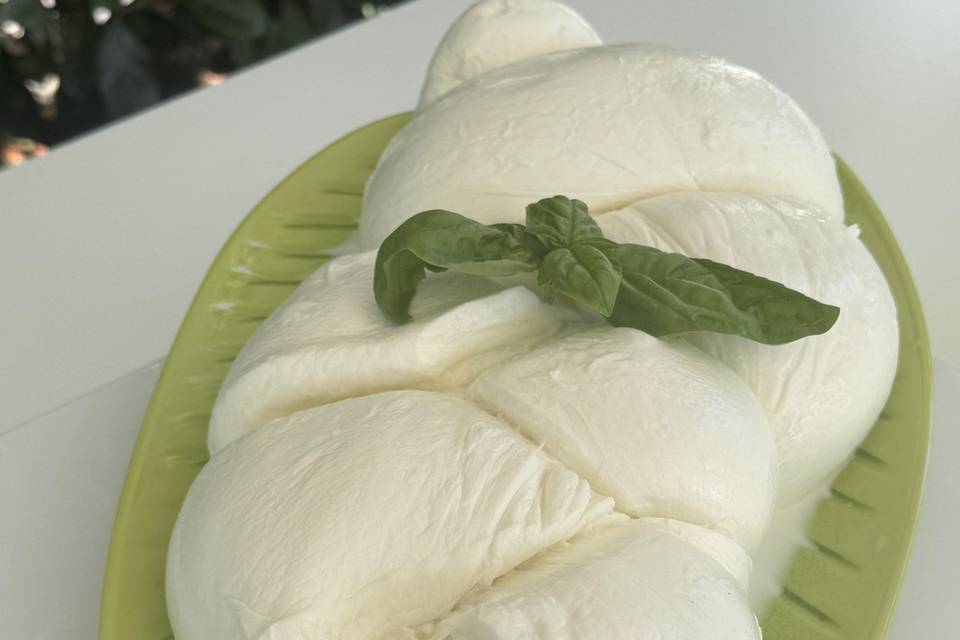 Treccia di mozzarella