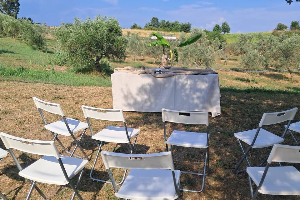 Il narratore