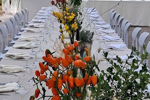 Allestimento