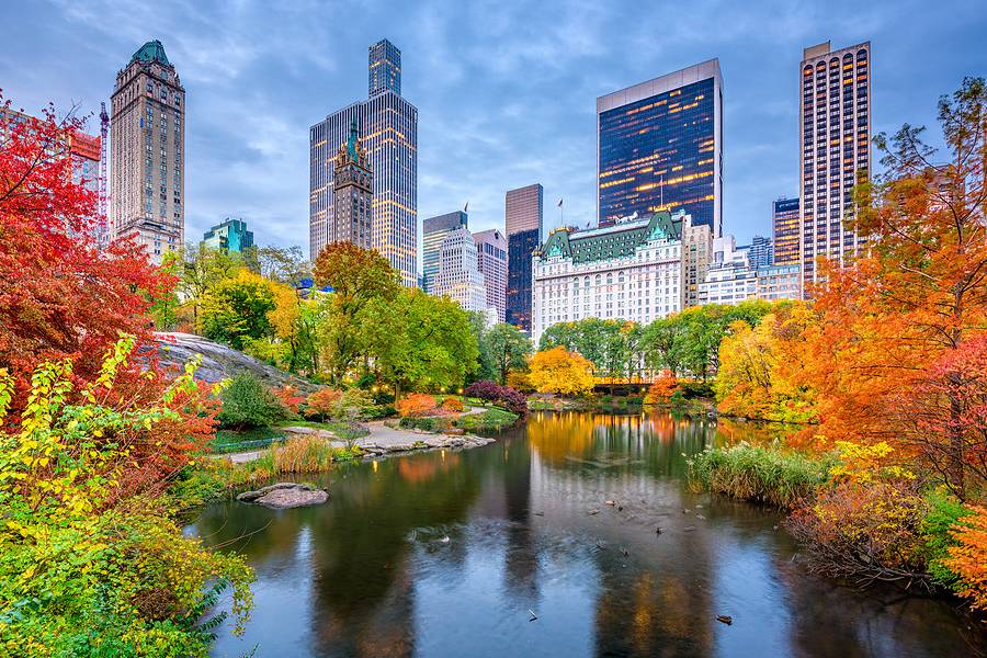 New york - central park