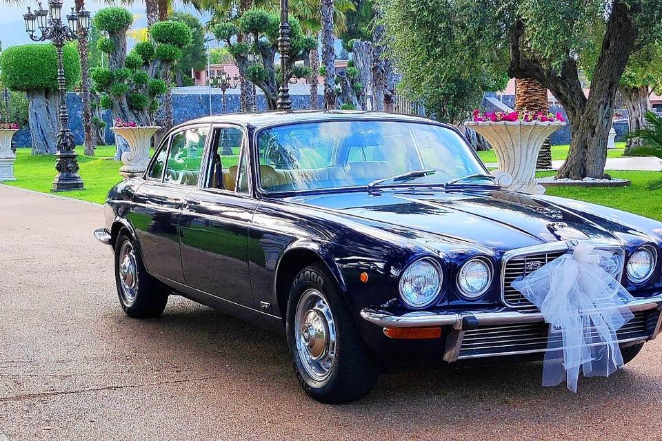 Luxury jaguar blue