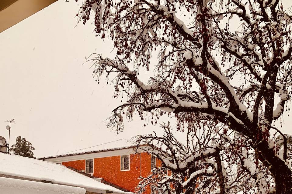 Neve Alla Casa dei Gelsi