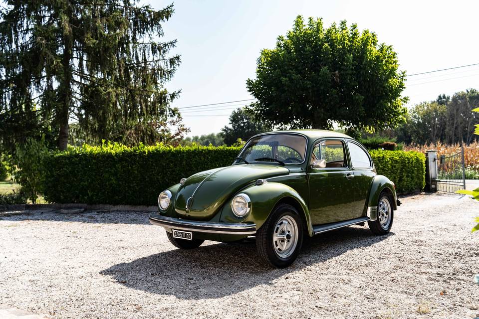 Auto della cerimonia