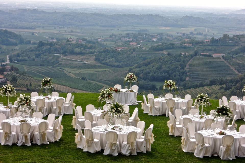 Azienda Agricola Baronesse Tacco