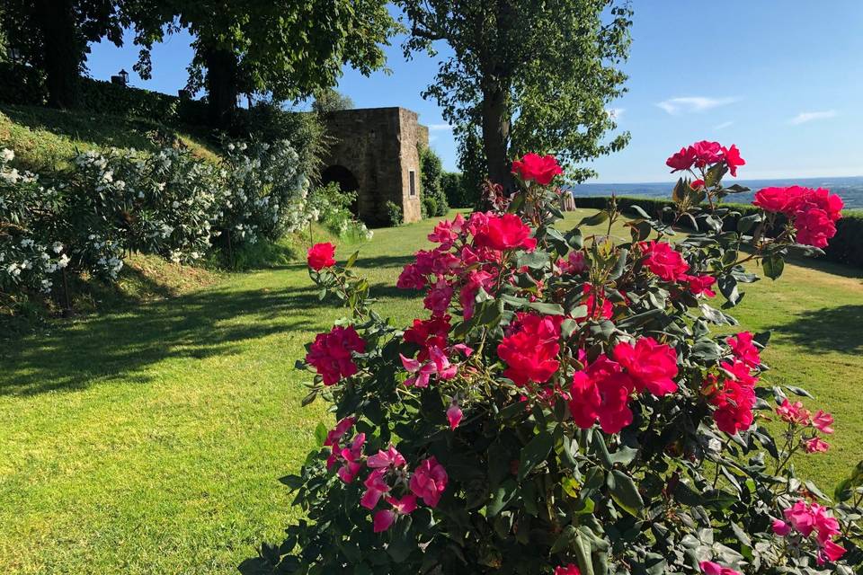 Azienda Agricola Baronesse Tacco