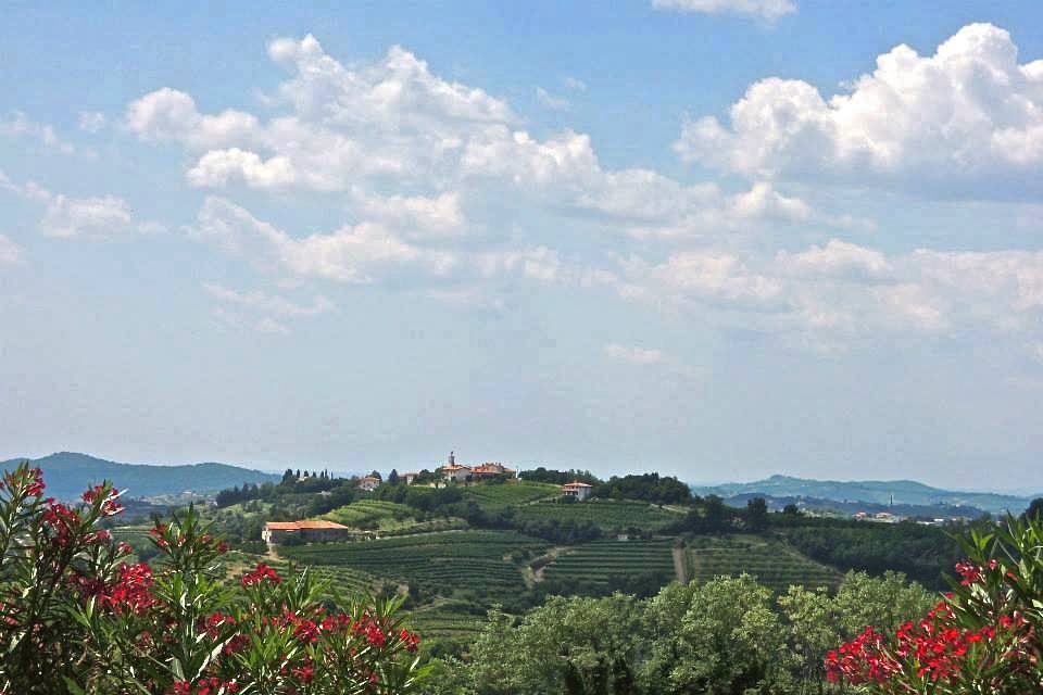 Azienda Agricola Baronesse Tacco