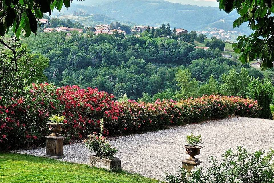 Azienda Agricola Baronesse Tacco