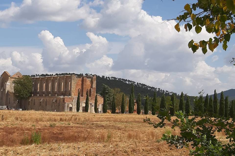 Il mio arrivo