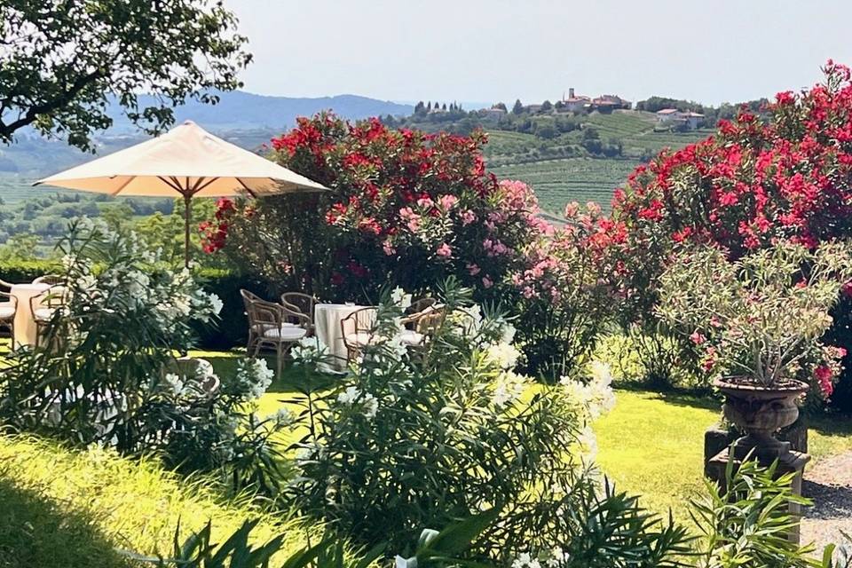 Azienda Agricola Baronesse Tacco