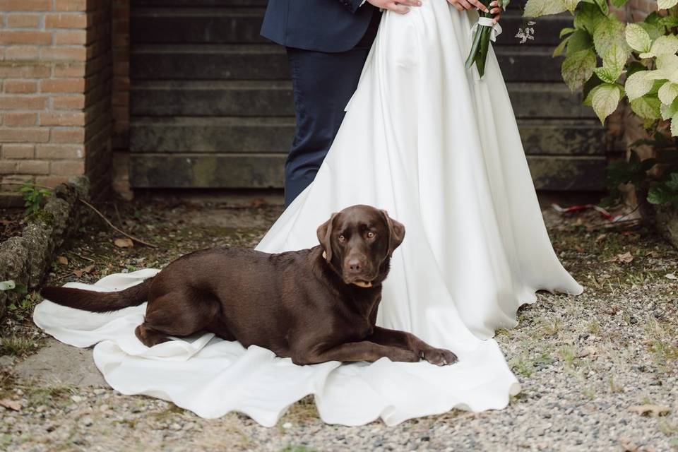 Matrimonio-podere-illica