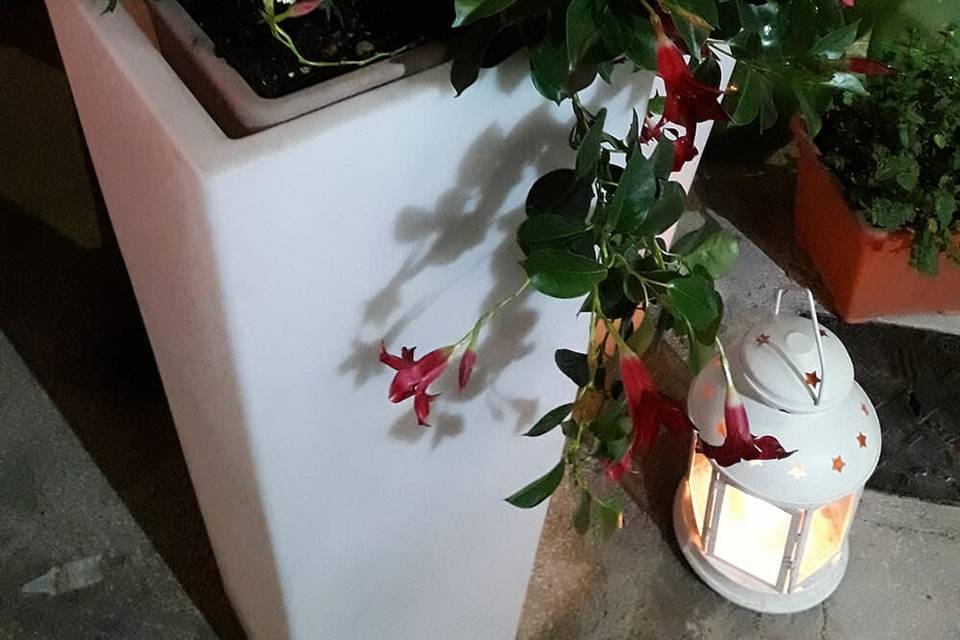 Dettagli