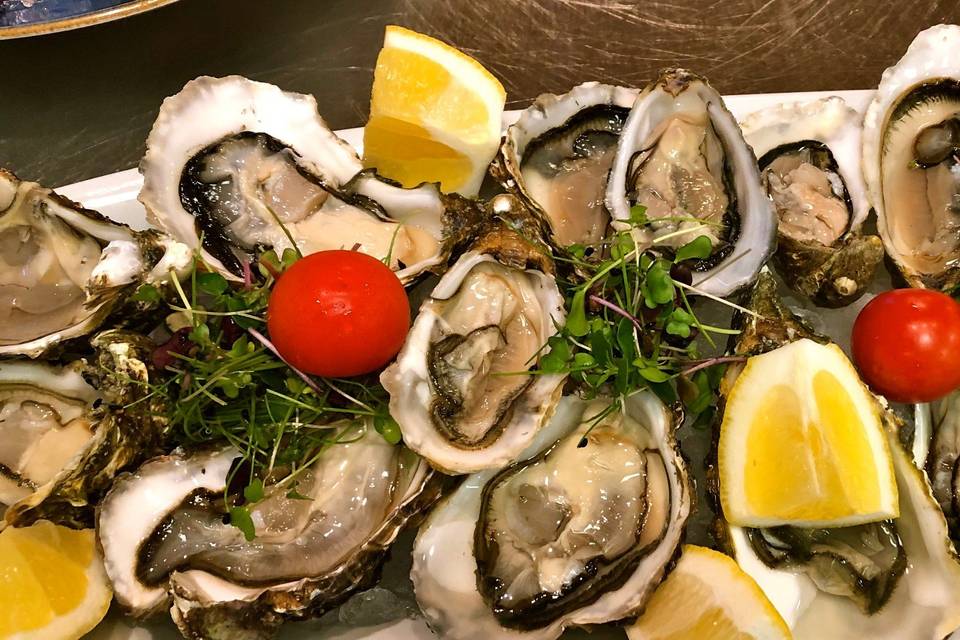 Crudo