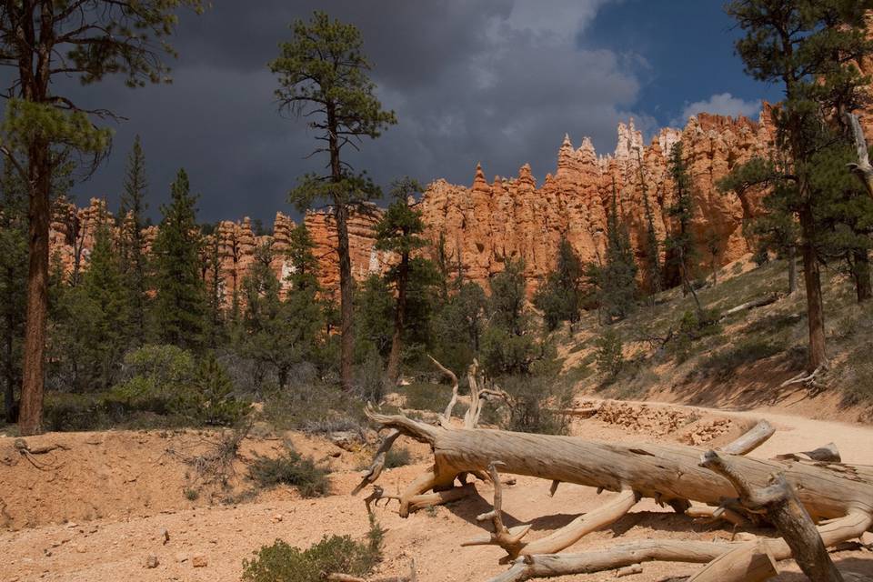 Usa, bryce canyon