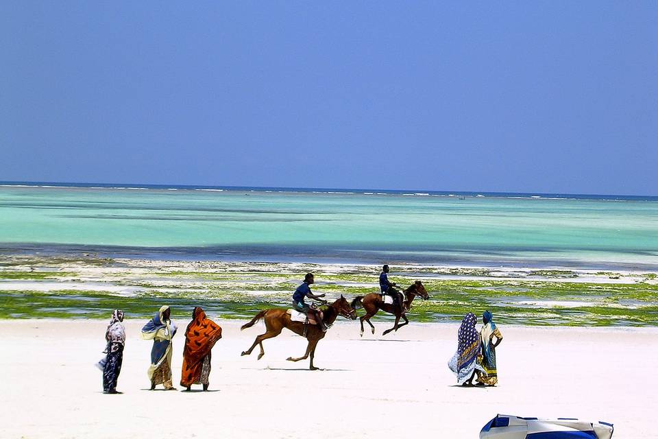 Zanzibar: spirito libero