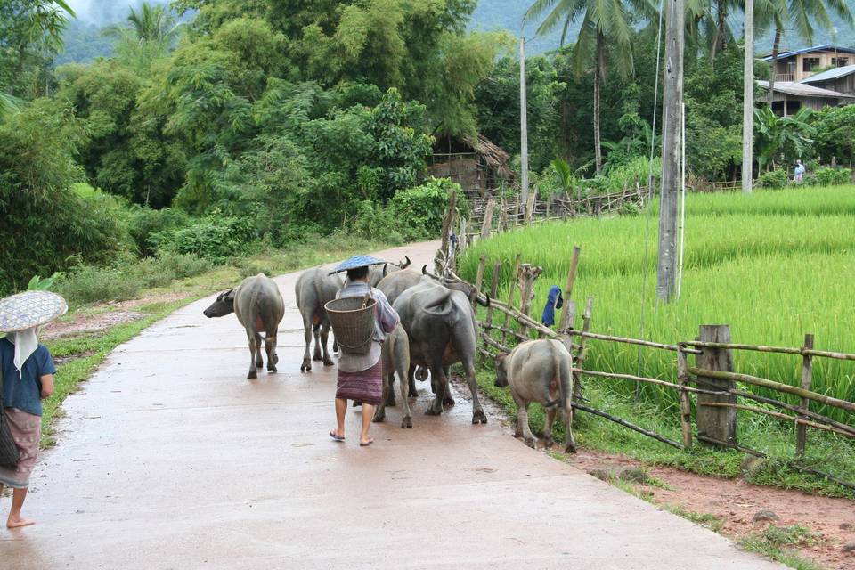 Thailandia: viaggio nel tempo