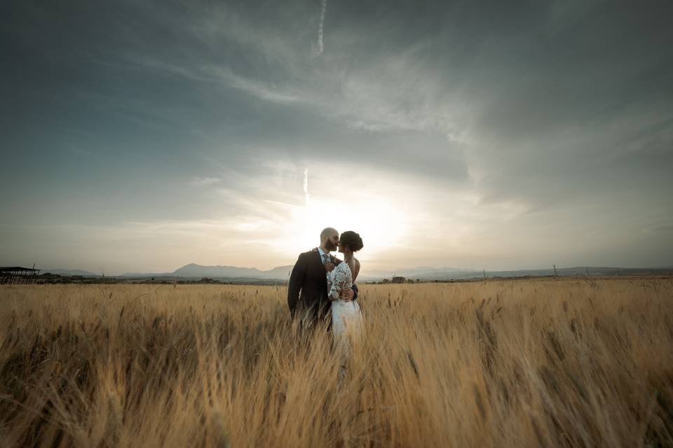 Sunset in a wheat field