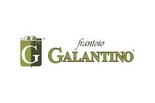 Frantoio Galantino