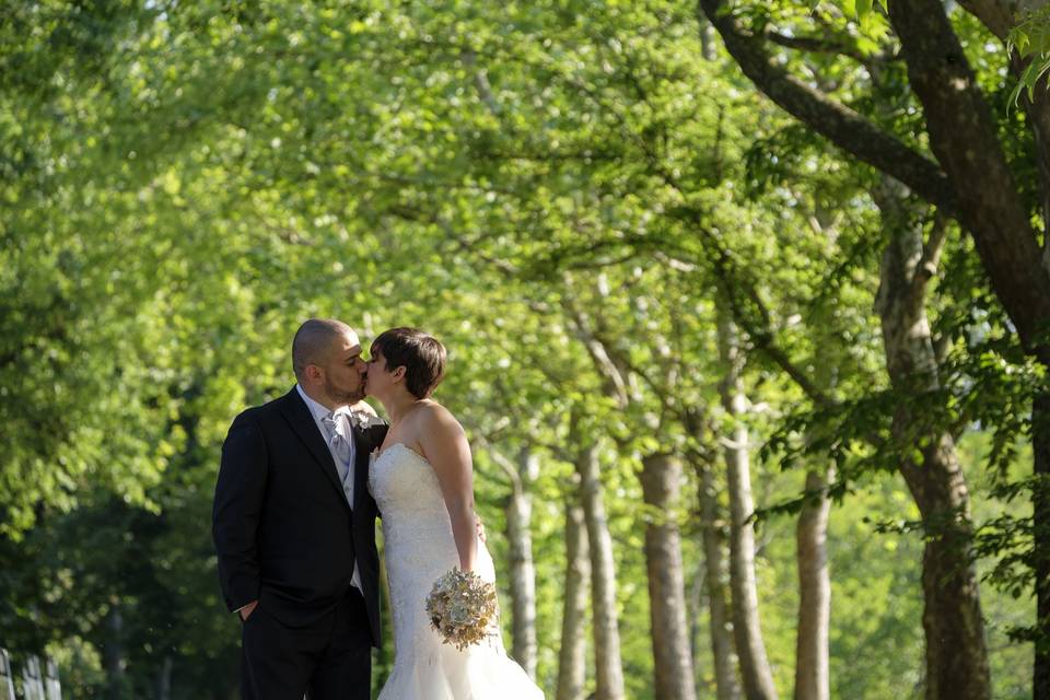 Kiss under tree