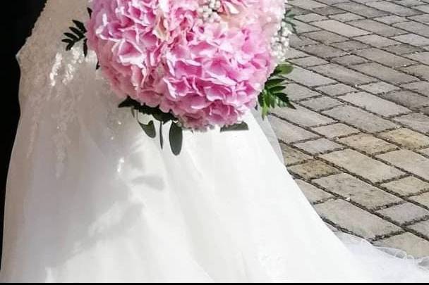 Ortensie