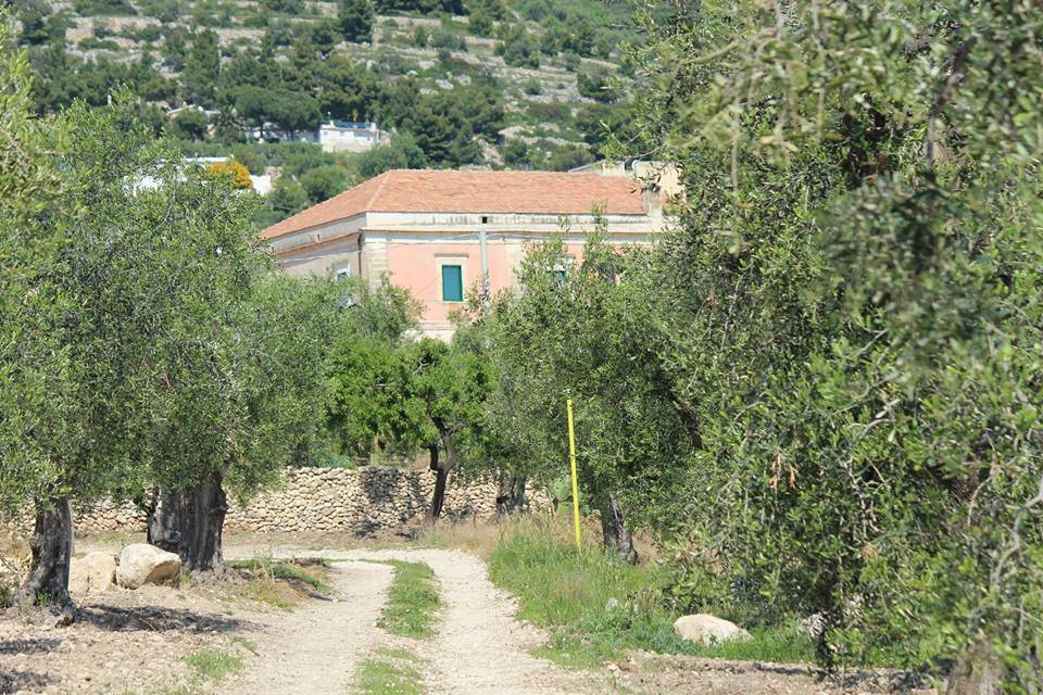 Masseria Papone