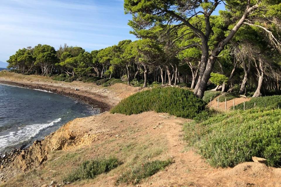 Natura incontaminata