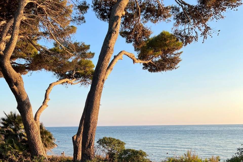 In riva al mare