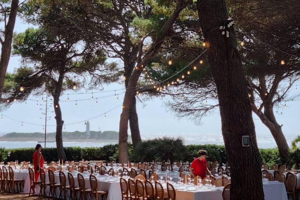 Reception dinner