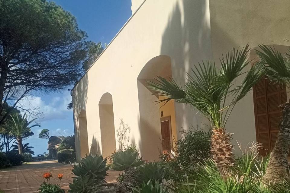 Sbocciano i fiori...