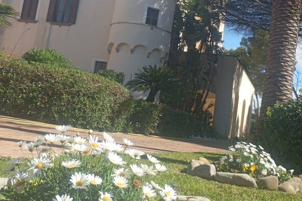 Sbocciano i fiori