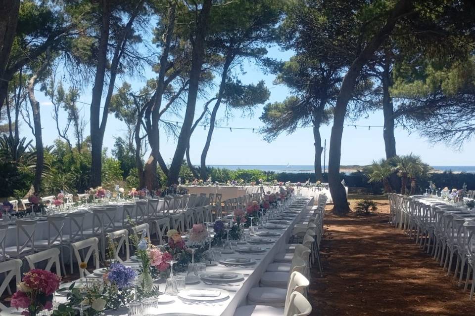 La Pineta sul Mare