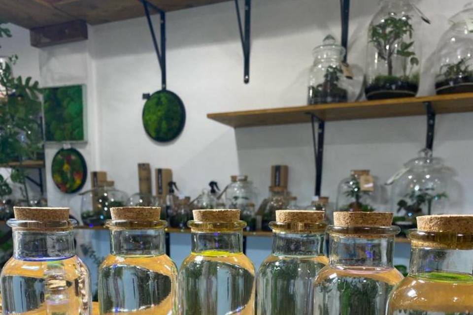 Marimo